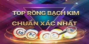 cách soi cầu rồng bạch kim cho ngườ chơi mới