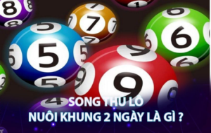 Nuôi song thủ lô khung 2 ngày