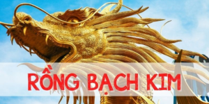 rồng bạch kim 666