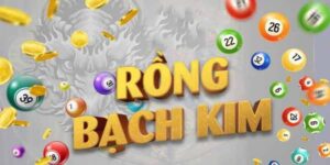 rồng bạch kim 999 là gì