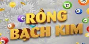 ý nghĩa rồng bạch kim 888